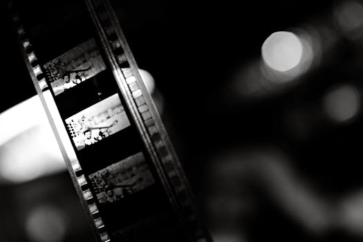Cinema